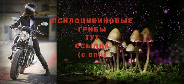круглые Мегион